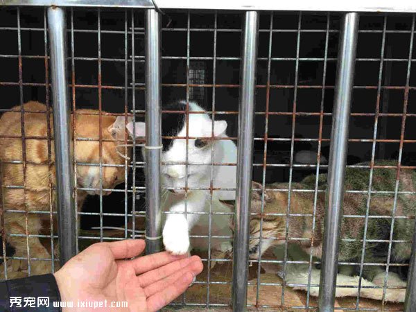 ��ǧ������������ȳ���ս��Բ���ɹ�