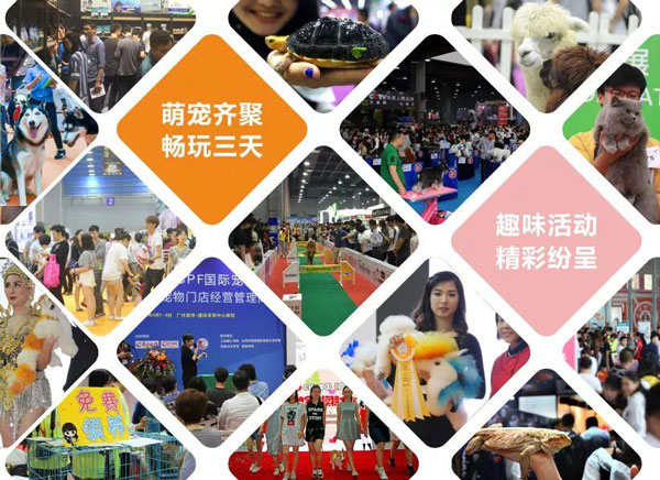2018�人�������������Ϯ,���Ű���һ��������
