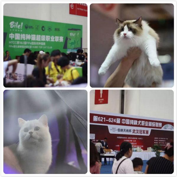 2018�人�������������Ϯ,���Ű���һ��������