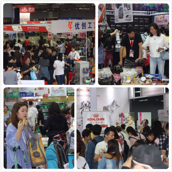 2018�人�������������Ϯ,���Ű���һ��������