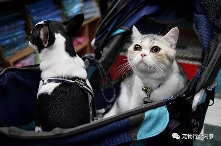 �ձ�������ҵ��һЩ��״�����ƹ۲�