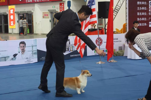 �人���������������ȡ�չ�ᣬ������èߣ����ȥ����