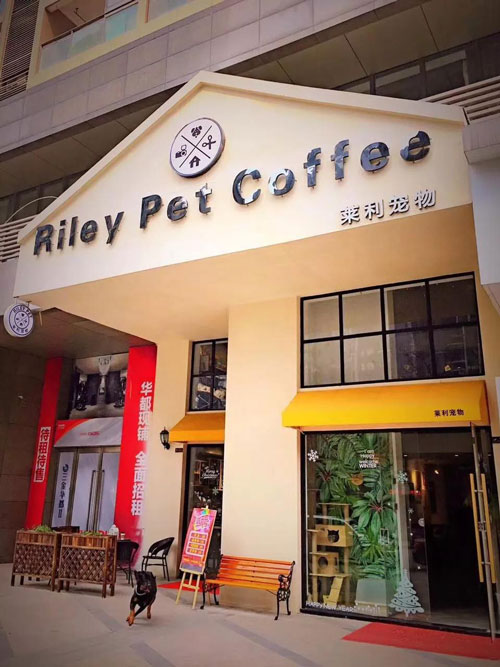 �人���������������ȡ�չ�ᣬ������èߣ����ȥ����