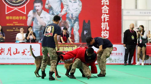 �人���������������ȡ�չ�ᣬ������èߣ����ȥ����