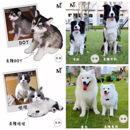 �人���������������ȡ�չ�ᣬ������èߣ����ȥ����