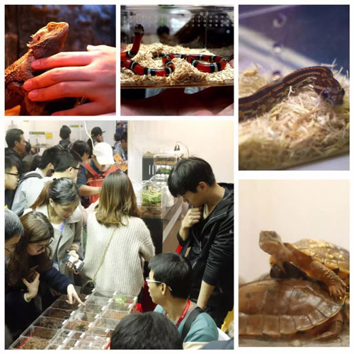 �人���������������ȡ�չ�ᣬ������èߣ����ȥ����