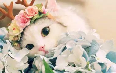 �人���������������ȡ�չ�ᣬ������èߣ����ȥ����