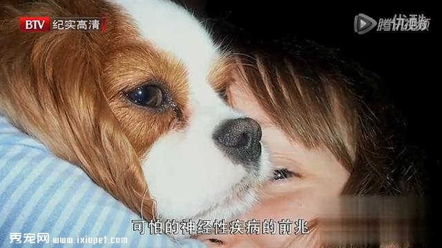 ����������ս������Ŵ����������������