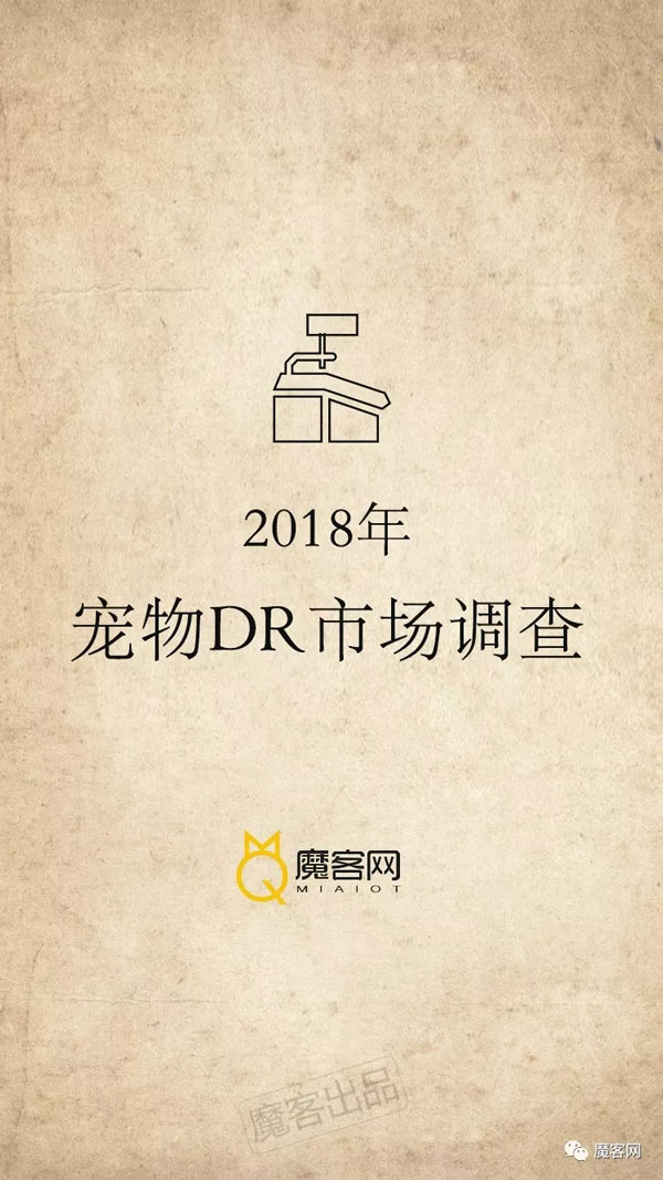2018�����DR�г����飺3���������˽������г�
