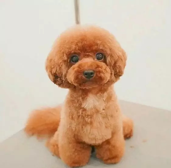 ������ݡ����һ��ǵ�һ����˵