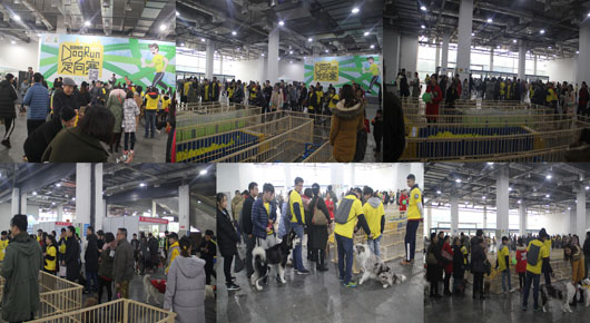 2018�ڶ��쳤ɳ���ʳ�����Ʒչ����