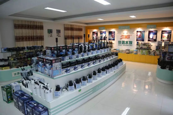 ɭɭ��33�����10��Ӫ�գ�ɭɭˮ��۹��ĳɳ�ʷ