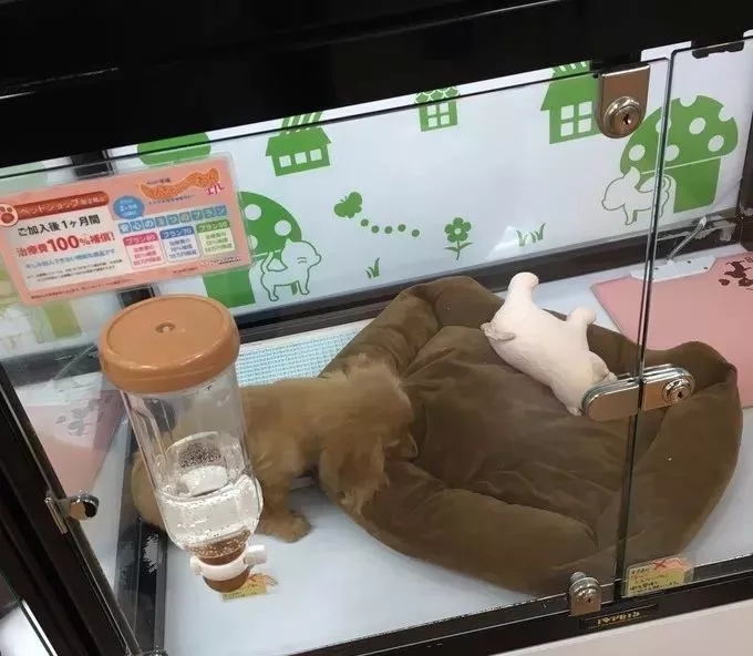 ȫ�������۸��������ҵ����ʾ