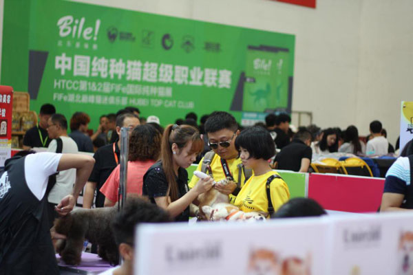 CPF�人�販�Ὣ��9��ʢװ���� ��ģ�����ٴ�����