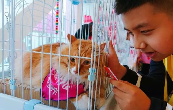 �й����ȳ辭�á����ȣ�ר�Һ�����ǿ�淶����