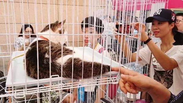 �й����ȳ辭�á����ȣ�ר�Һ�����ǿ�淶����