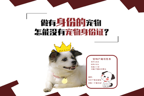 ��һ����ҵ��Ŀ����������è���ͳ��й淶��Ȯ�Ĺ�������