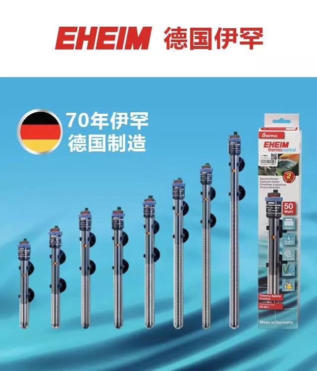 ǿ�����ݣ��׽�