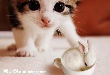 ����ţһ���ĳ�ҵ�ˣ��Ѽұ������ϣ�