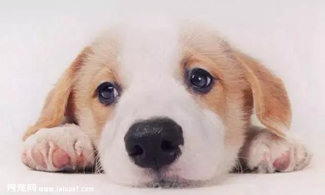 ����ţһ���ĳ�ҵ�ˣ��Ѽұ������ϣ�