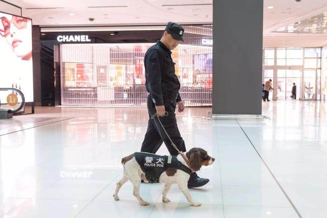 �����ȳ衰�޵С�������ֿ���� ����apm�ȳ����˳�������