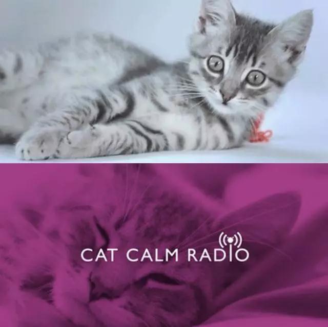 �����������ܼҾ�ʱ��