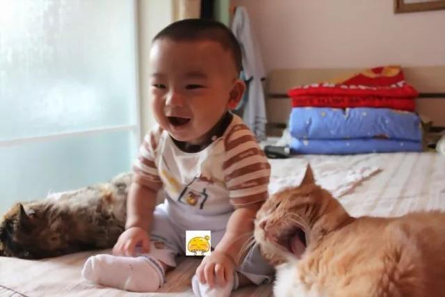 ���о�������˸ðû��ˣ�Ժʿ�Ŷ��о����֣��������������ڱ�