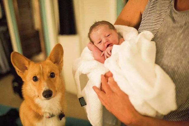 ���о�������˸ðû��ˣ�Ժʿ�Ŷ��о����֣��������������ڱ�