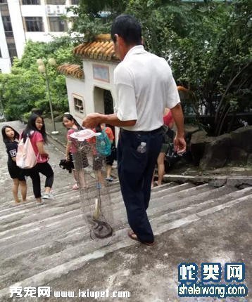 ����һѧУ�ֽ�20���� ����2���Ƕ���(��ͼ)