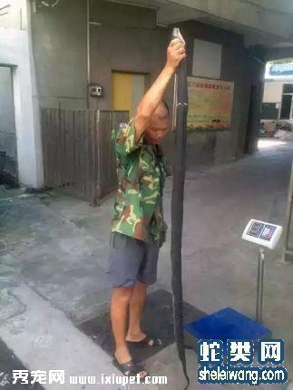 ����һѧУ�ֽ�20���� ����2���Ƕ���(��ͼ)