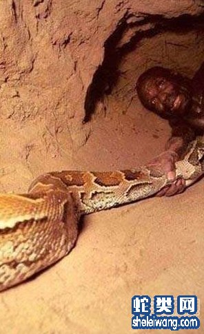 Ϊ���ߣ����ӽ����������߶� ��Ļ���˿���