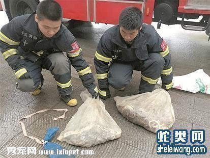 ����ʮ����ͻ���人��ͷ�Ż����� ����������