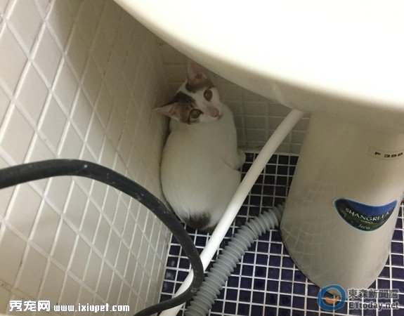 ������ū�ţ�����ҹ ������ ���ǡ���ë�F���J�M��