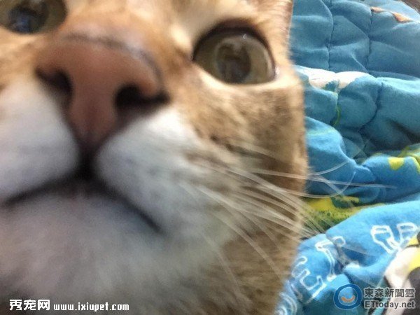 �����^С������� ���ӽ������@�����w���N���N��