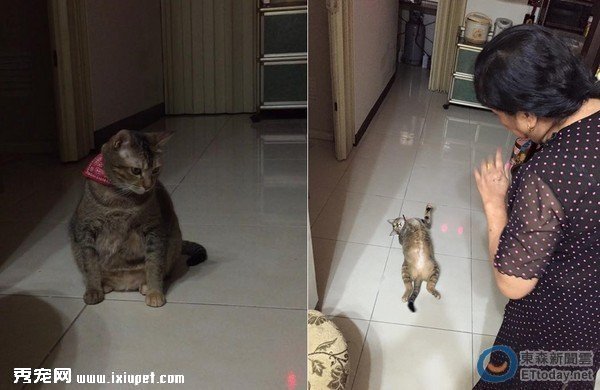 �����^С������� ���ӽ������@�����w���N���N��