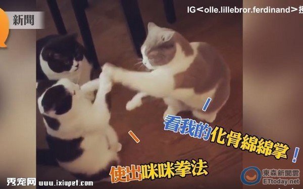 2��������d�dȭ���^�� �����桸һ�ǃɽ������Ρ��ɣ�