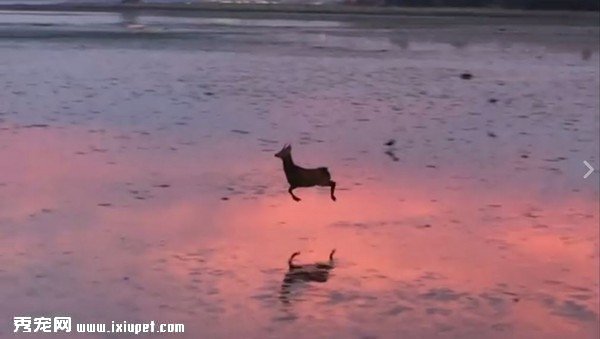 С¹Q�����^��߅��ɫ�ճ�...ˮ����ӳ�����b¹�������K��