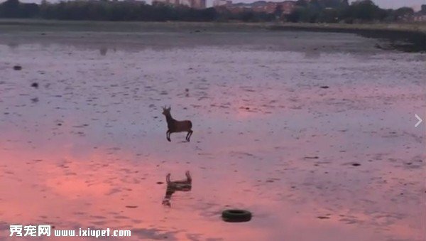 С¹Q�����^��߅��ɫ�ճ�...ˮ����ӳ�����b¹�������K��