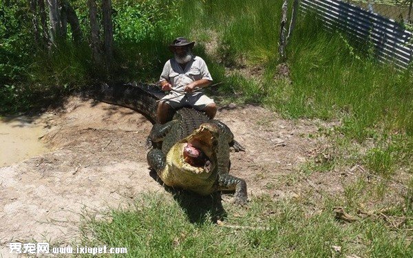 ��4.5�����{�~��ҧ����ˮ �ġ��T�{�󎟡��؂��ֽ�֫