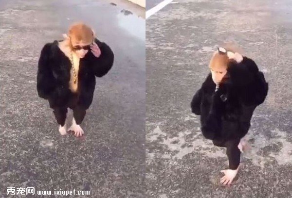 �����������㣿����һ��moveժī�R �����倚���糬ģ