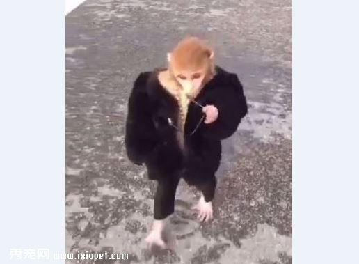 �����������㣿����һ��moveժī�R �����倚���糬ģ