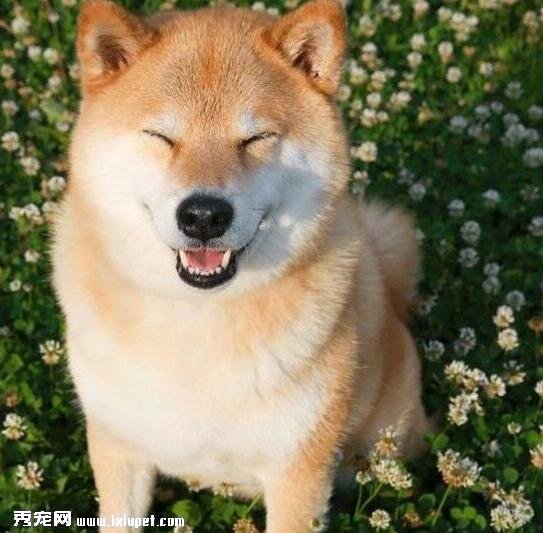 ������ȮŻ��