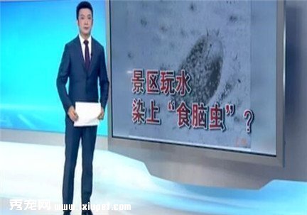 ���ӱ����Գ�����