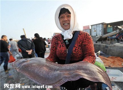 �ൺ��庣������