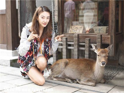 ������붯���Ӱ������С����