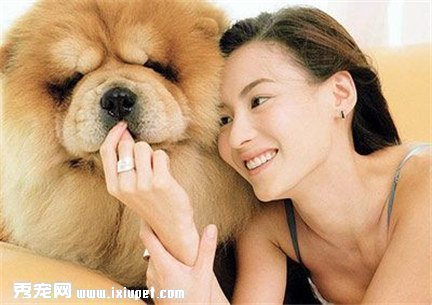 �Ű�֥����ʨȮ���ܺ���