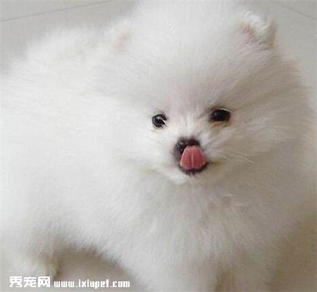 ����ȮŻ����ô�죿����Ż�µ�ԭ����ʲô��