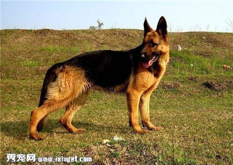 ������֪��������ѡ�¹�����Ȯ��