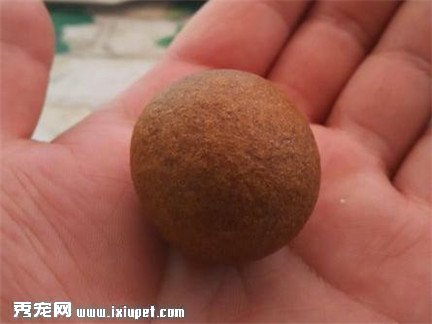 ĸ��ȡ��6����