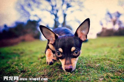 ����ű�Ȯ����Ƥ������ô�죿���Ԥ������Ƥ������